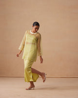 Sanjh Elira Set - Soft Lime Organza Top with Skirt