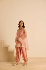 Sukoon Pink Organza Top Set