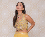 Inayat Lehenga Set- RTS