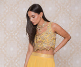 Inayat Lehenga Set