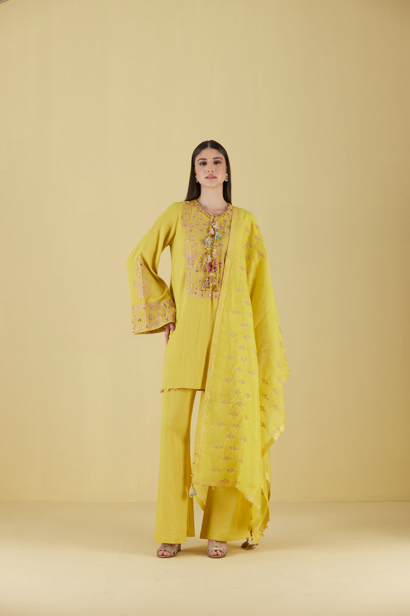 Zuri Kashmiri Kurta Set