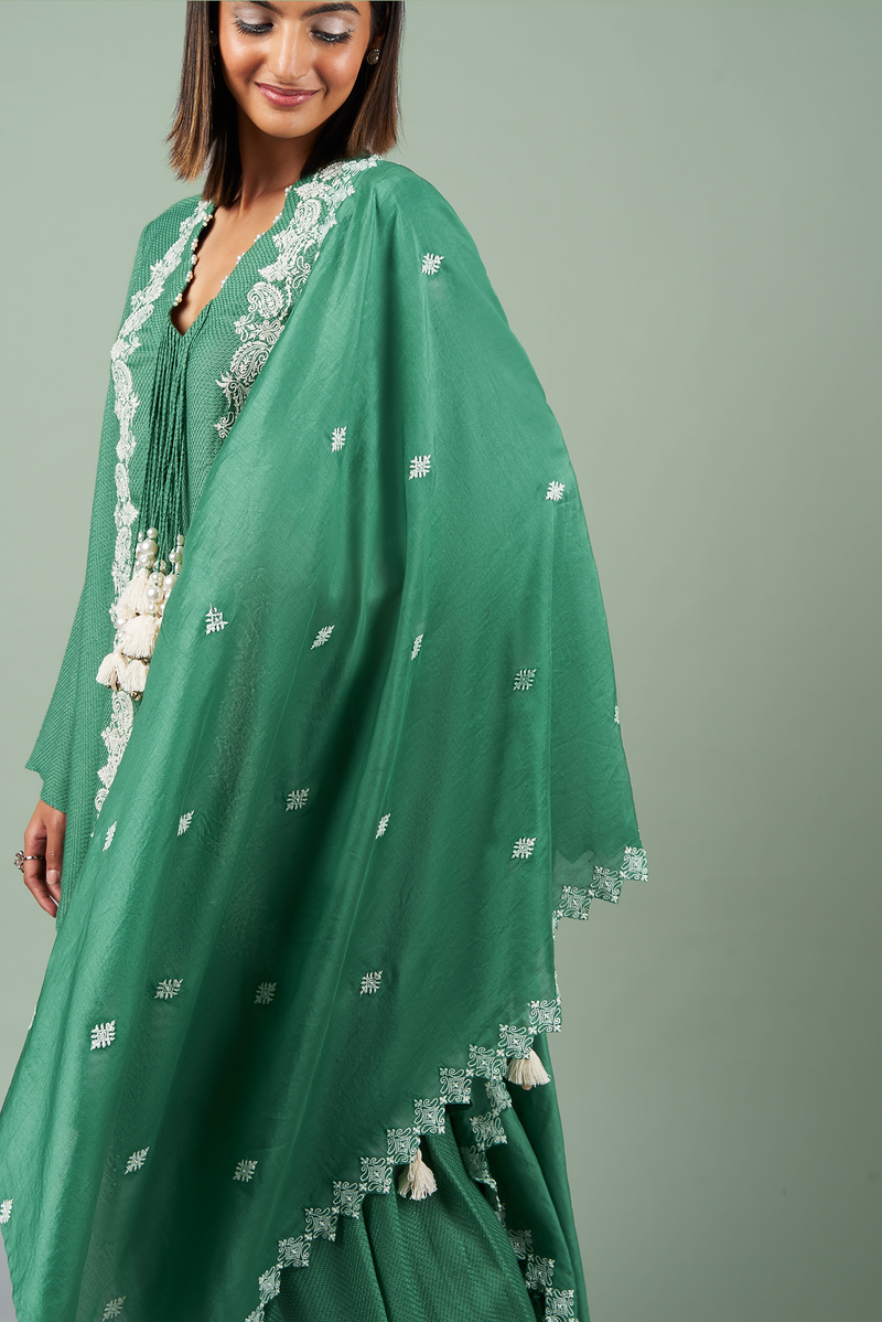 Pop Drop Kashmiri Kurta Set